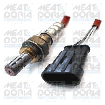 Oxygen Sensor